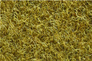 Java Flat